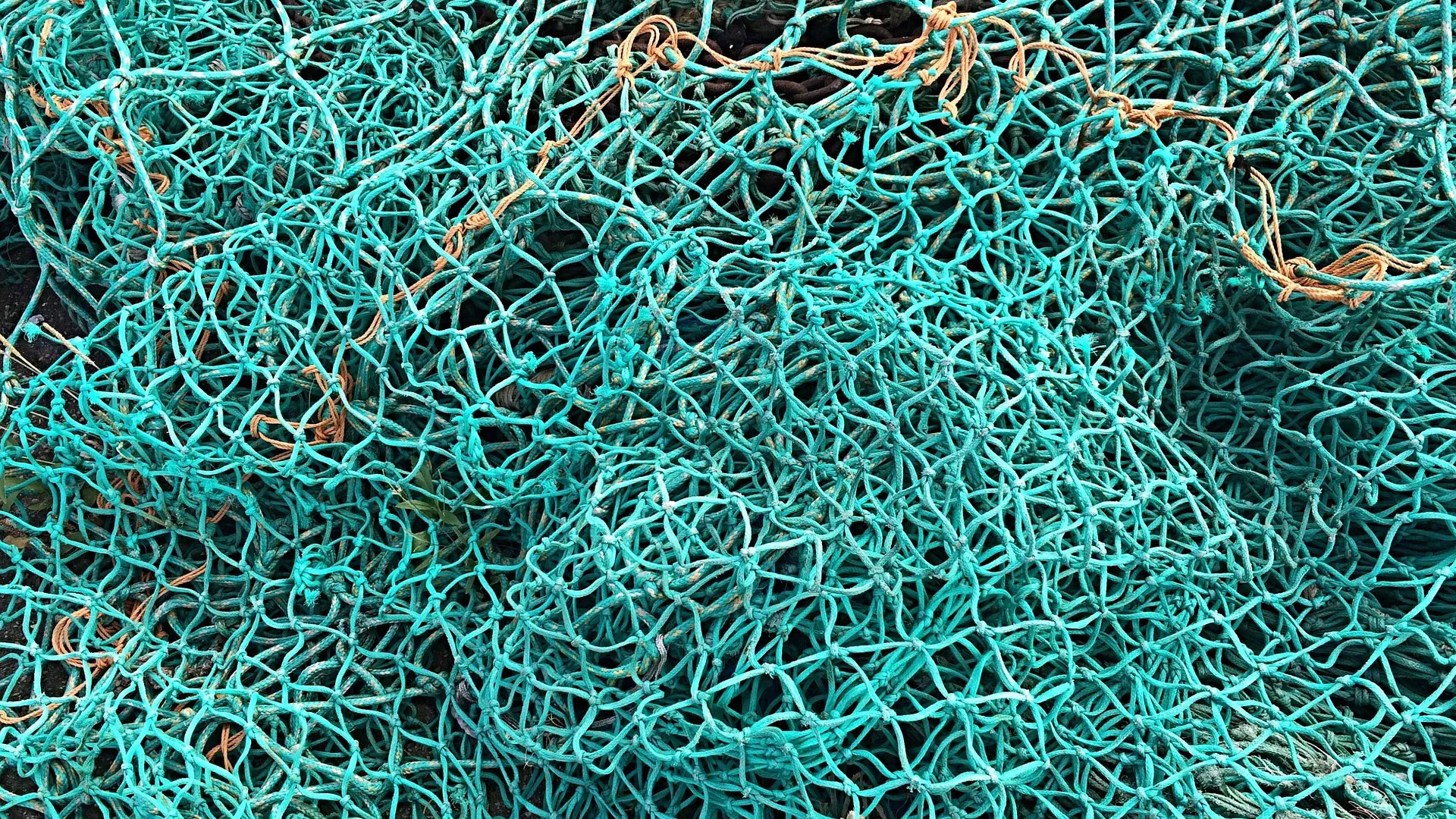 Fischernetze